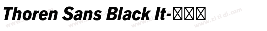 Thoren Sans Black It字体转换